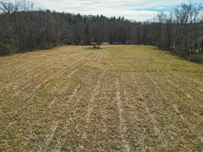 Large Land Tract for Sale in Floyd VA! - image 5