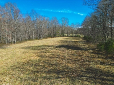 Large Land Tract for Sale in Floyd VA! - image 32