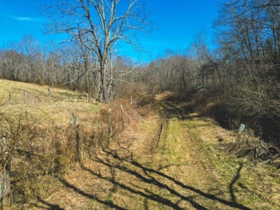 Large Land Tract for Sale in Floyd VA! - image 12