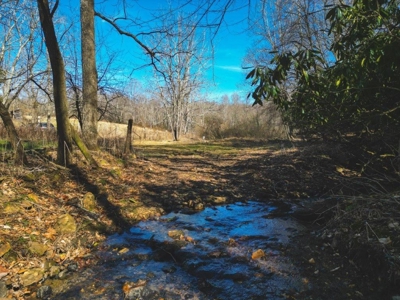 Large Land Tract for Sale in Floyd VA! - image 19