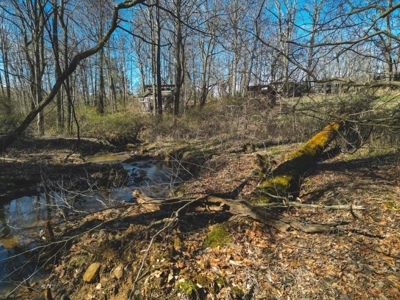 Large Land Tract for Sale in Floyd VA! - image 17