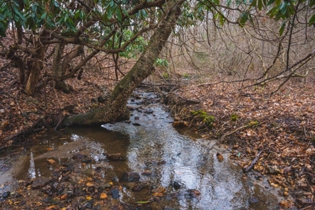 Large Land Tract for Sale in Floyd VA! - image 41