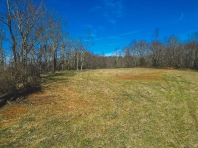 Large Land Tract for Sale in Floyd VA! - image 22