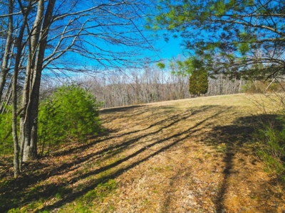 Large Land Tract for Sale in Floyd VA! - image 29