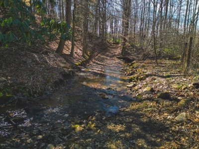 Large Land Tract for Sale in Floyd VA! - image 14