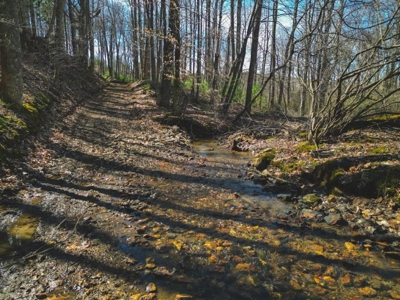 Large Land Tract for Sale in Floyd VA! - image 15