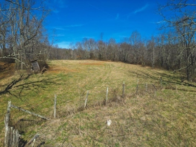 Large Land Tract for Sale in Floyd VA! - image 21