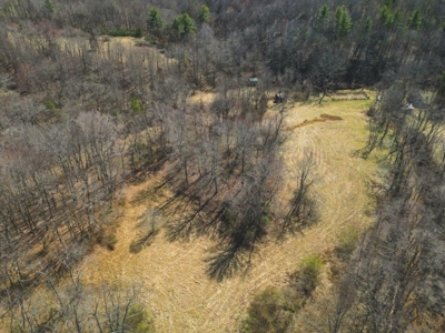 Large Land Tract for Sale in Floyd VA! - image 3