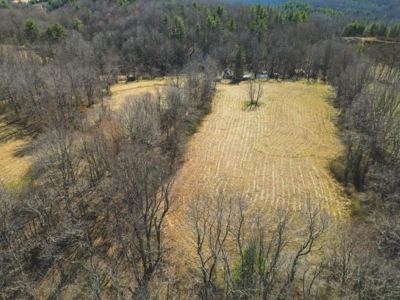 Large Land Tract for Sale in Floyd VA! - image 4