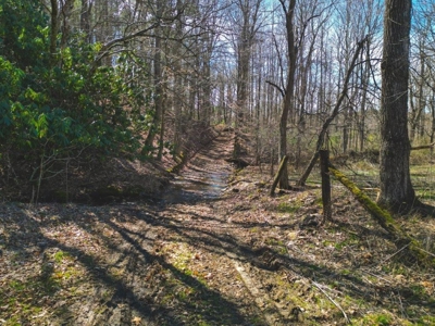 Large Land Tract for Sale in Floyd VA! - image 13