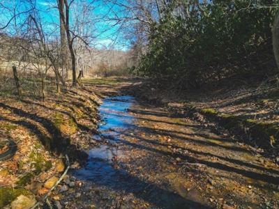 Large Land Tract for Sale in Floyd VA! - image 18