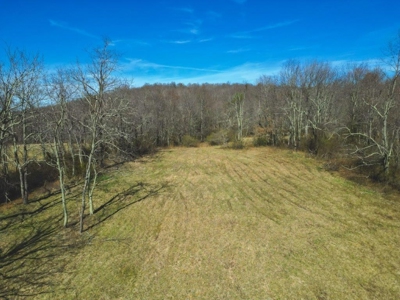 Large Land Tract for Sale in Floyd VA! - image 23