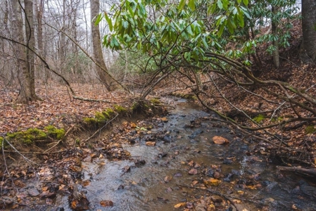 Large Land Tract for Sale in Floyd VA! - image 42