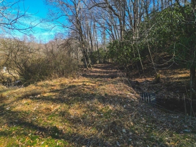 Large Land Tract for Sale in Floyd VA! - image 20