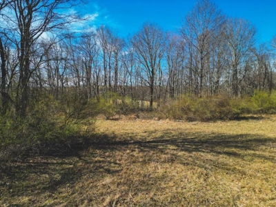 Large Land Tract for Sale in Floyd VA! - image 26