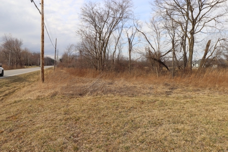 Online Only Real Estate Auction - Delaware Building Lot - image 2