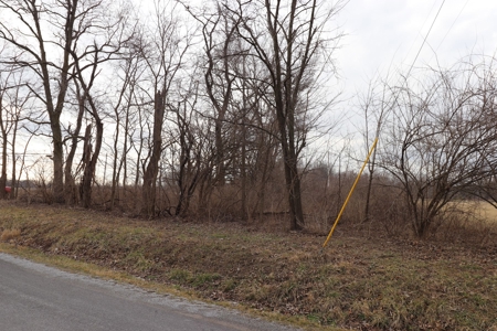 Online Only Real Estate Auction - Delaware Building Lot - image 5