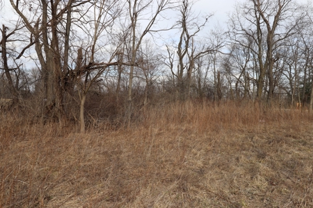 Online Only Real Estate Auction - Delaware Building Lot - image 3
