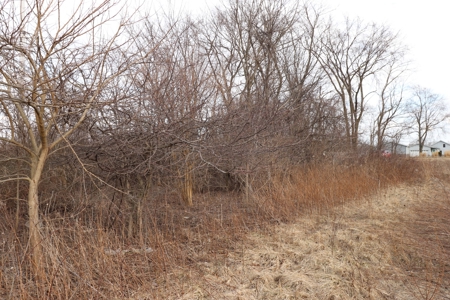 Online Only Real Estate Auction - Delaware Building Lot - image 4