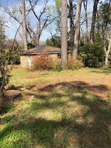 Two Houses For the Price of One - image 1