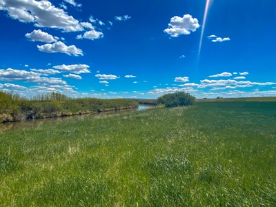 Irrigated Hay Farm For Sale Near Saco Montana - image 8