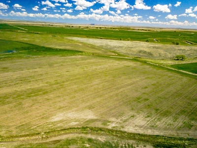 Irrigated Hay Farm For Sale Near Saco Montana - image 10