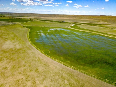 Irrigated Hay Farm For Sale Near Saco Montana - image 7