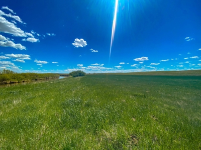 Irrigated Hay Farm For Sale Near Saco Montana - image 5