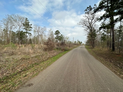 Anderson County Texas Recreational Land For Sale - image 2