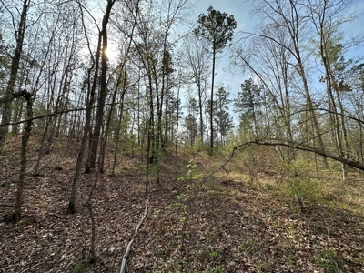 Anderson County Texas Recreational Land For Sale - image 14