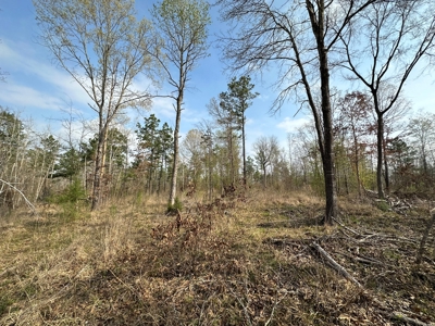 Anderson County Texas Recreational Land For Sale - image 1