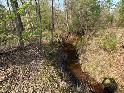 Anderson County Texas Recreational Land For Sale - image 13