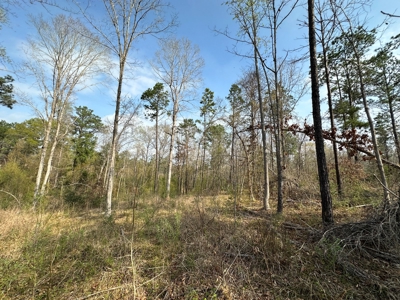 Anderson County Texas Recreational Land For Sale - image 15