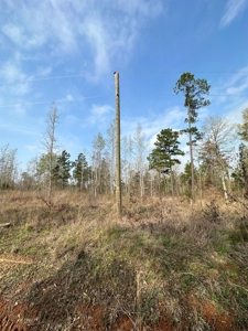 Anderson County Texas Recreational Land For Sale - image 3