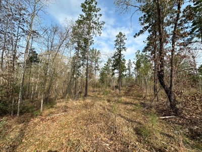 Anderson County Texas Recreational Land For Sale - image 7