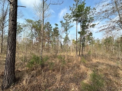 Anderson County Texas Recreational Land For Sale - image 4
