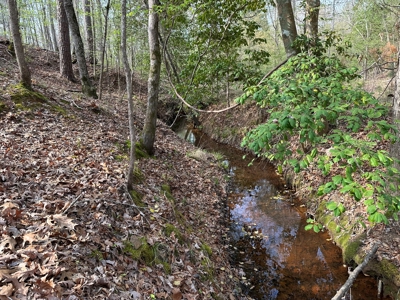 Anderson County Texas Recreational Land For Sale - image 11