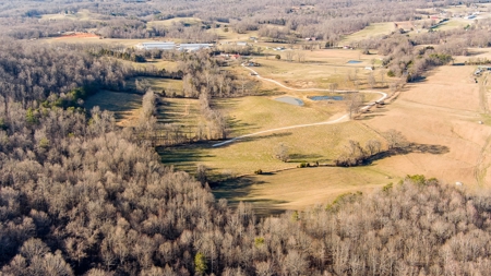 Absolute Auction-Online Only-Farm 2-Acreage in Albany, KY - image 17