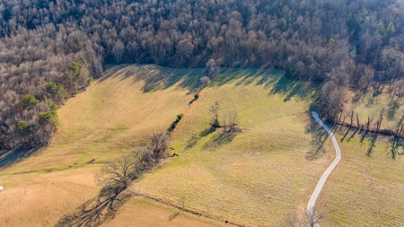 Absolute Auction-Online Only-Farm 2-Acreage in Albany, KY - image 11