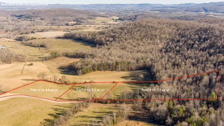 Absolute Auction-Online Only-Farm 2-Acreage in Albany, KY - image 15