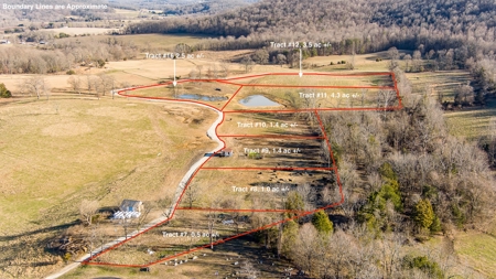 Absolute Auction-Online Only-Farm 2-Acreage in Albany, KY - image 21