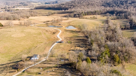Absolute Auction-Online Only-Farm 2-Acreage in Albany, KY - image 22