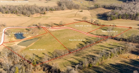 Absolute Auction-Online Only-Farm 2-Acreage in Albany, KY - image 13