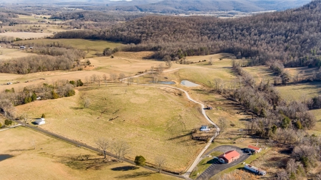 Absolute Auction-Online Only-Farm 2-Acreage in Albany, KY - image 5
