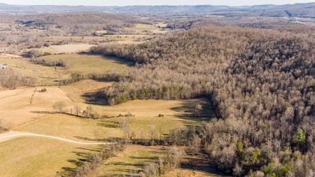 Absolute Auction-Online Only-Farm 2-Acreage in Albany, KY - image 16