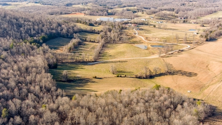Absolute Auction-Online Only-Farm 2-Acreage in Albany, KY - image 18