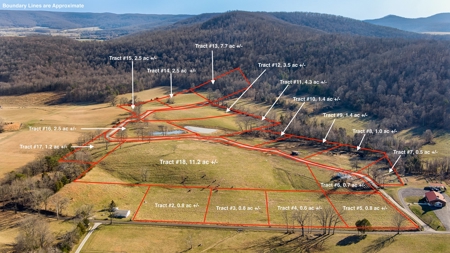 Absolute Auction-Online Only-Farm 2-Acreage in Albany, KY - image 1