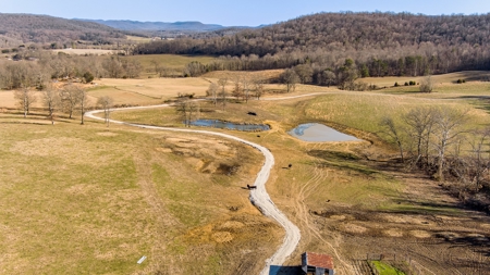 Absolute Auction-Online Only-Farm 2-Acreage in Albany, KY - image 9