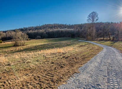 Absolute Auction-Online Only-Farm 2-Acreage in Albany, KY - image 4