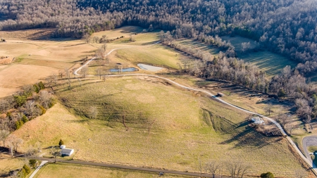 Absolute Auction-Online Only-Farm 2-Acreage in Albany, KY - image 23